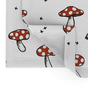 Mushrooms on White