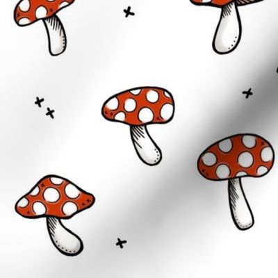 Mushrooms on White