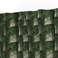 KRLGFabricPattern-Ivy2023-halfdrop