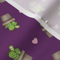 Kawaii Cacti Purple