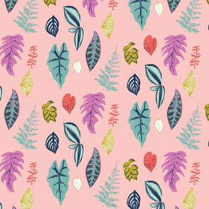Leaf collection, fern, exotic botanical leave in pink