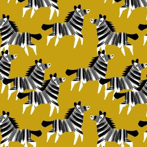 Zebra safari