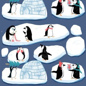 Winter Penguin on ice - arctic animals icebergs 