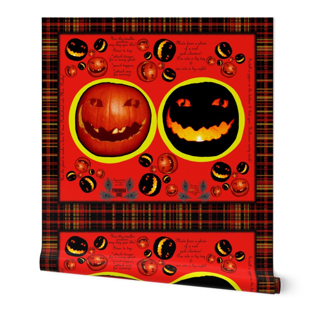 Punkinhead Jones Night & Day Pillow Plushie