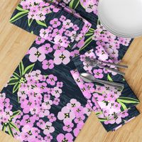 Alyssum - Jumbo Pink & Navy