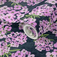 Alyssum - Jumbo Pink & Navy