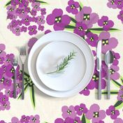 Alyssum - Jumbo Purple