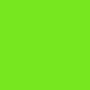 CD1 - Neon Lime Solid
