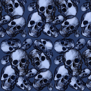 Denim blue skulls large