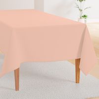 CSMC8 - Pale Peach Pastel Solid