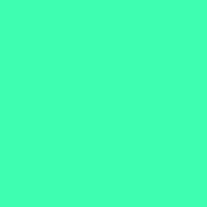 CSMC11 - Minty Green Pastel Solid