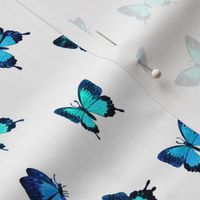 Tiny Mountain Blue Butterflies in Watercolor on White - scattered