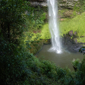 New Zealand Waterfall