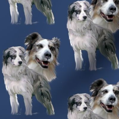 Blue Merle Australian Shepherds  fabric