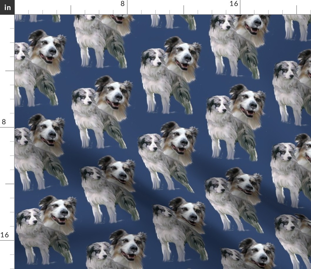 Blue Merle Australian Shepherds  fabric