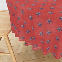 stars print red white and blue vintage