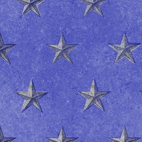 stars print blue white on blue 