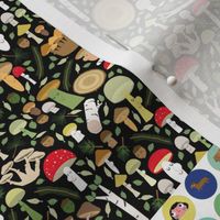 Blythe Fabric 