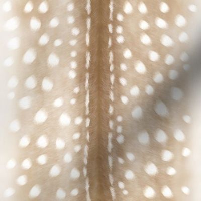 Fawn, Pale Spotted Coat, Small