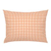 Coral Watercolor Gingham