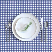 Navy Blue Watercolor Gingham