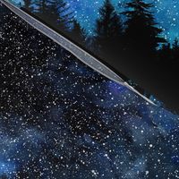 Starry night bordure Watercolor - a forest with a night sky full of stars