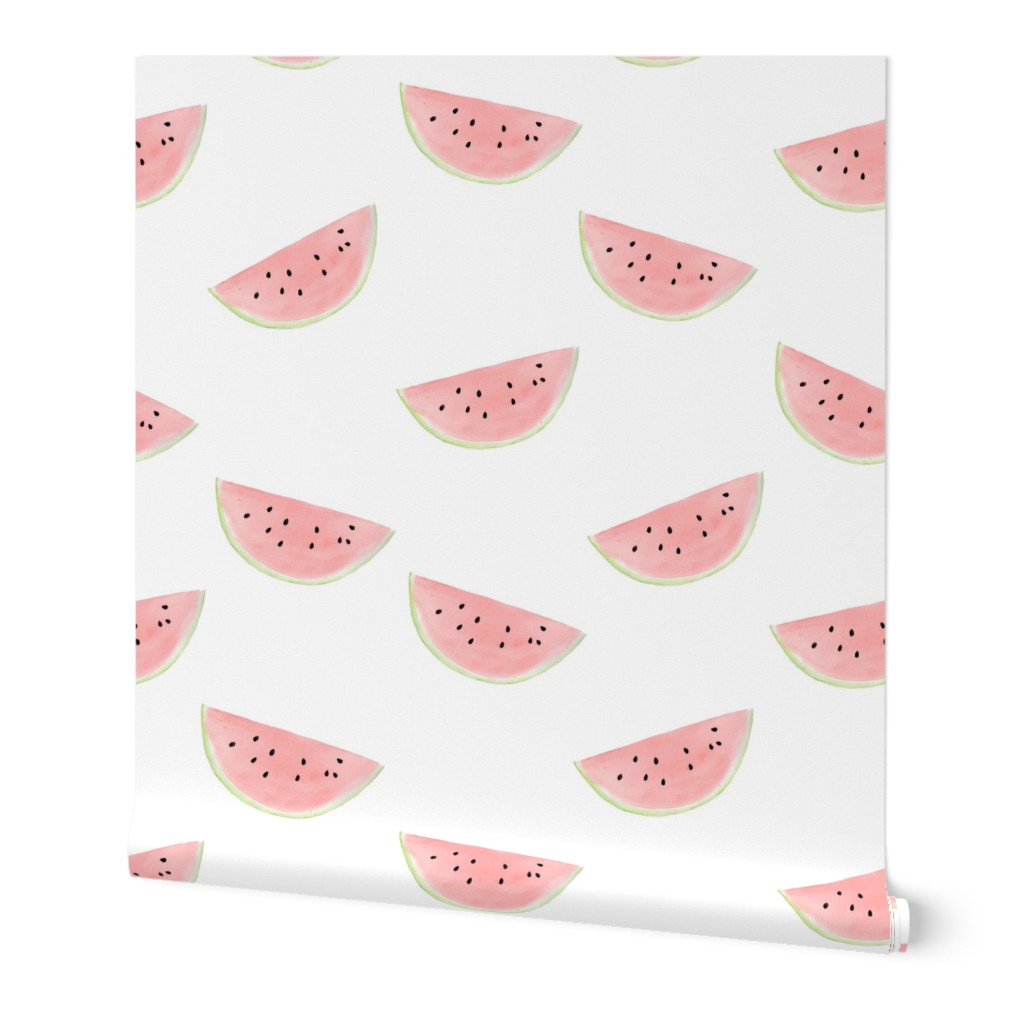 Watermelon Watercolor on White 