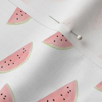Watermelon Watercolor on White 