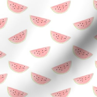 Watermelon Watercolor on White 