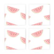 Watercolor Watermelon on White