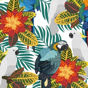 Tropical birds