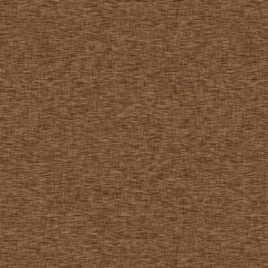 Solid Linen - cinnamon - wild One coordinate