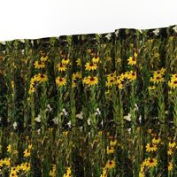 KRLGFP2021-BlackEyedSusans-halfbrick