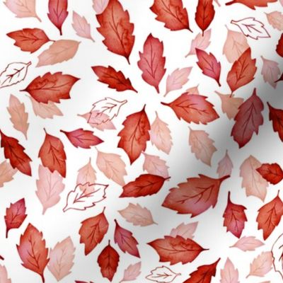 Leaves coordinate red