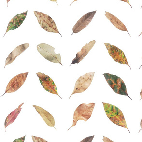 Chevron Leaves