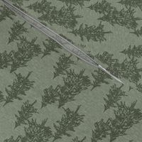 Small evergreen trees - fern - linen textured forest of green trees