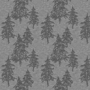Small evergreen trees - charcoal