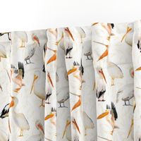 Watercolor Pelicans on White with fish background