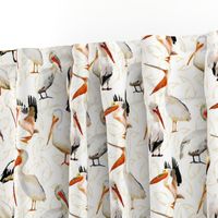 Pelicans on Fish Background