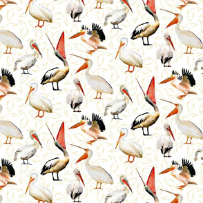 Pelicans on Fish Background