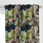 PinkAndWhitePoinsettiaFQTeaTowel