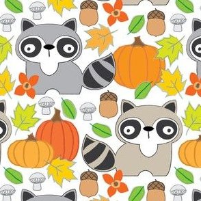 raccoons and pumpkins on white