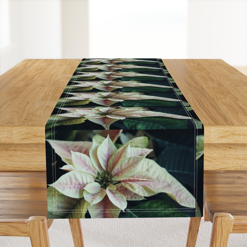 PinkAndWhitePoinsettiaPlacemats