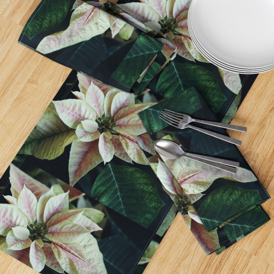 PinkAndWhitePoinsettiaPlacemats