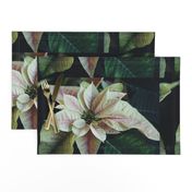 PinkAndWhitePoinsettiaPlacemats