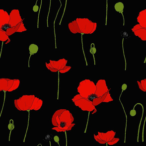 Poppies scatter black