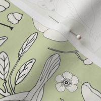 Rustic Toile - H White, Kiwi