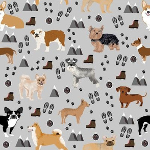 dogs hiking outdoors dog breed fabric grey