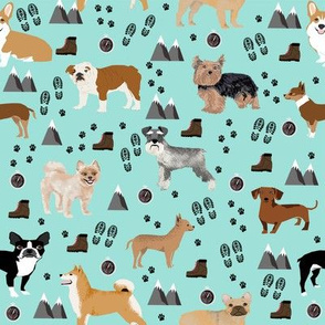 dogs hiking outdoors dog breed fabric light blue