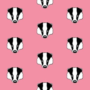 badger faces on pink